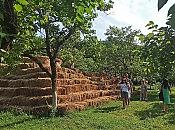 Экскурсия на 33 водопада + Сафари-Сад + Чайные плантации 3