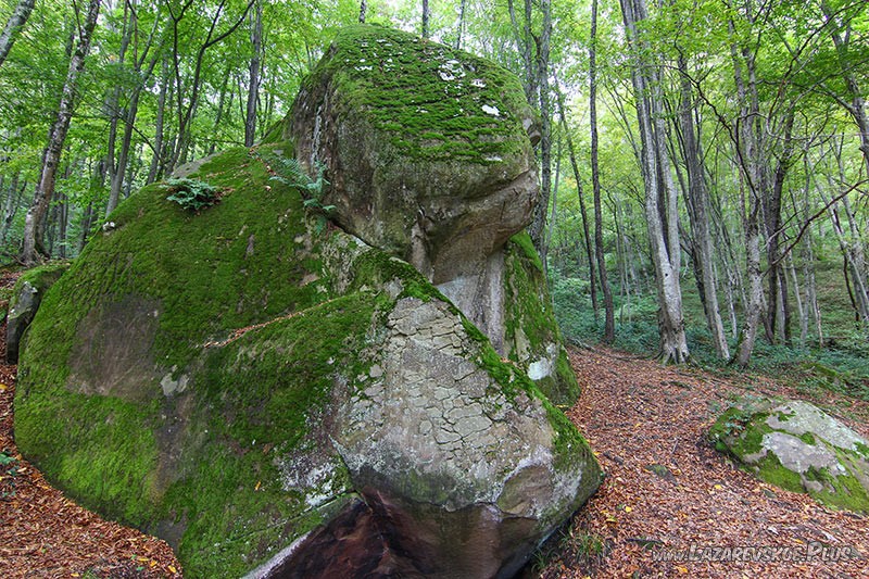 Дольмен-целитель. Вид сзади.