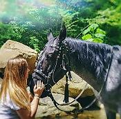 Двухчасовая конная прогулка 13