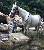 Двухчасовая конная прогулка 2