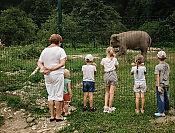 Индивидуальная экскурсия в Сафари-Сад + 33 Водопада 10