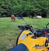 Двухчасовая прогулка на квадроциклах 12