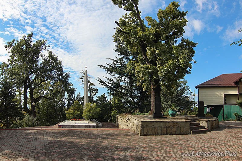 Роща Памяти Героев в Лазаревском.
