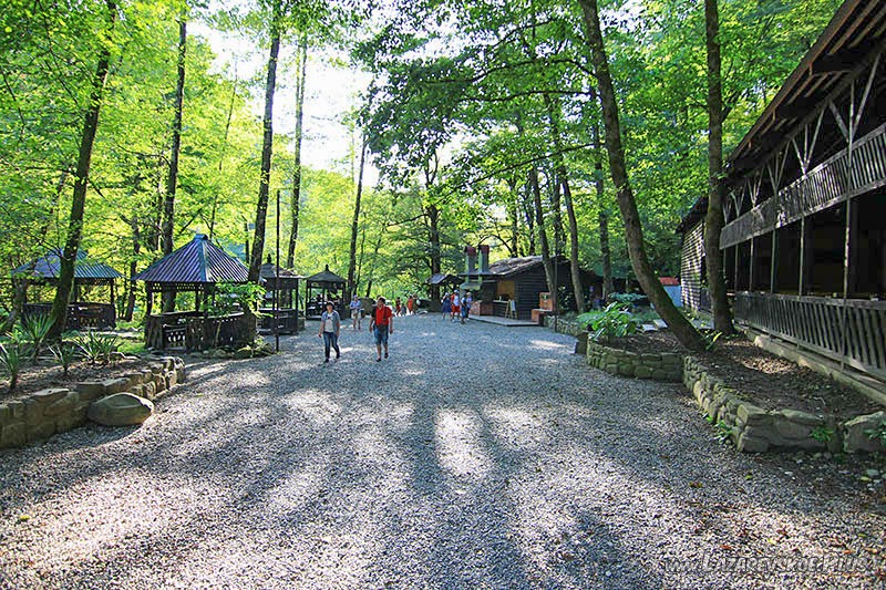 Поляна с кафе и местами для отдыха.