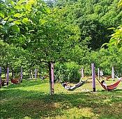 Экскурсия на 33 водопада + Сафари-Сад + Чайные плантации 5