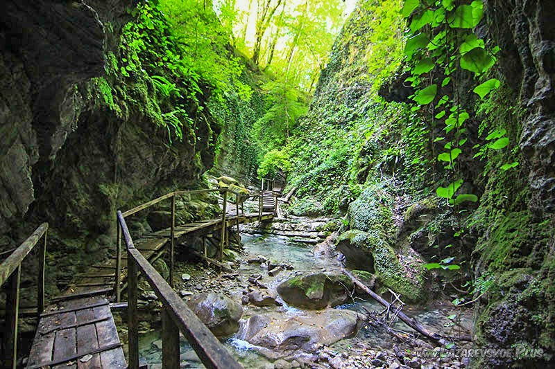 Выход из грота.