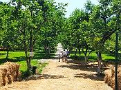 Индивидуальная экскурсия в Сафари-Сад + 33 Водопада 1