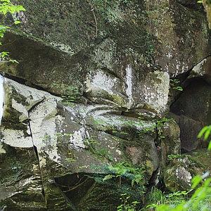 Скала и лик