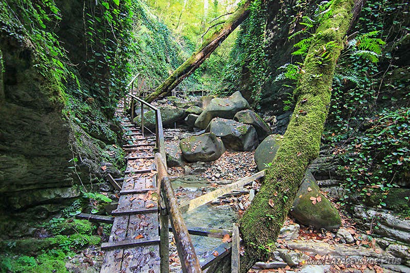 Каньон Прохладный