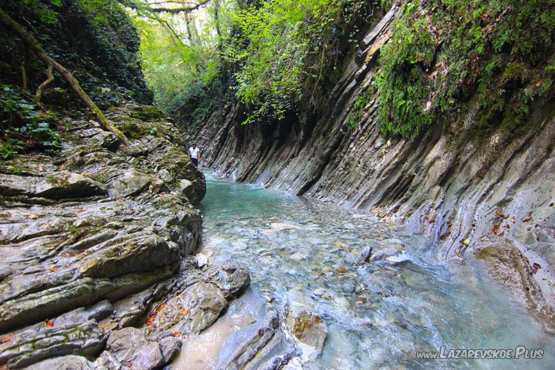 После дождей пройти можно только поводе.
