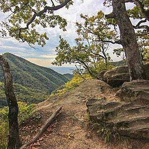 Смотровая площадка