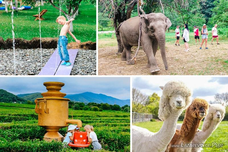 Индивидуальная экскурсия в Сафари-Сад + 33 Водопада