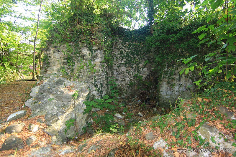 Стены крепости затянуты плющём.