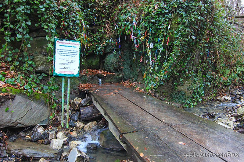 Сероводородный источник.