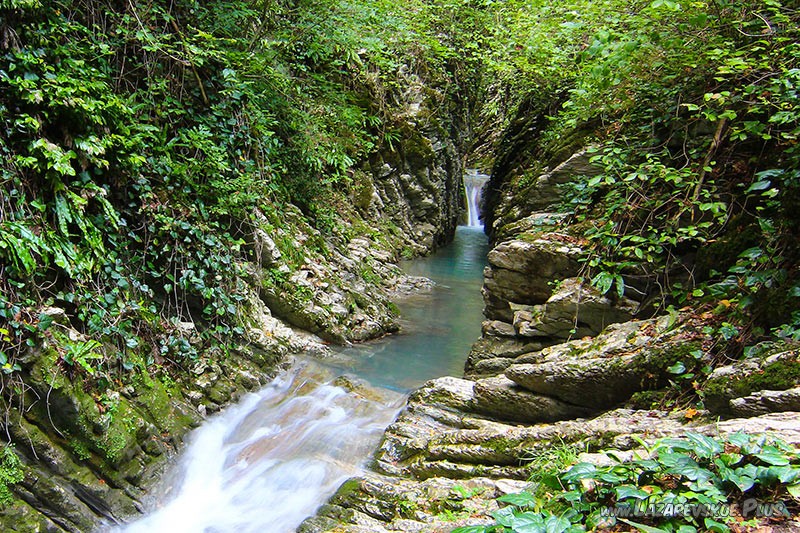 Крабовый каньон