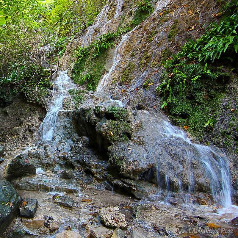 Чаша Богини любви.