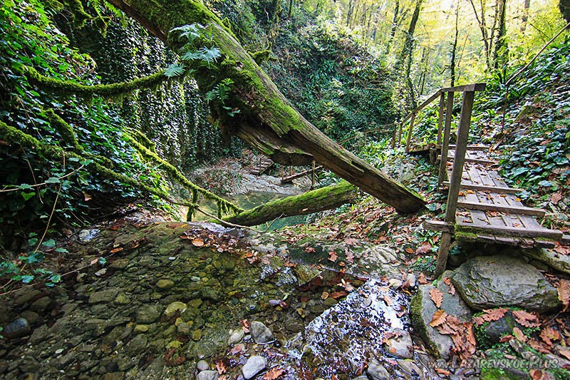 Наверху водопада.