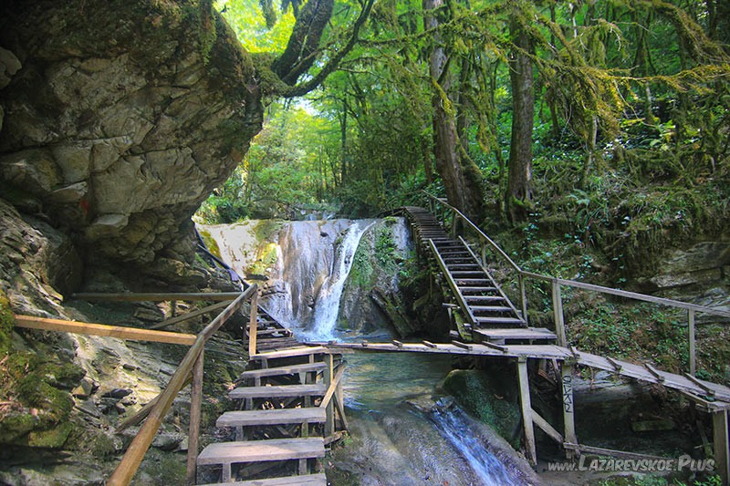 Тропа среди зарослей и нависших скал