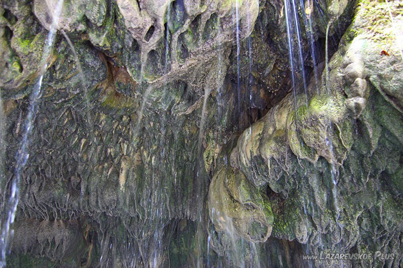 Известковые наросты