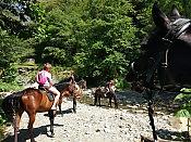 Двухчасовая конная прогулка 14