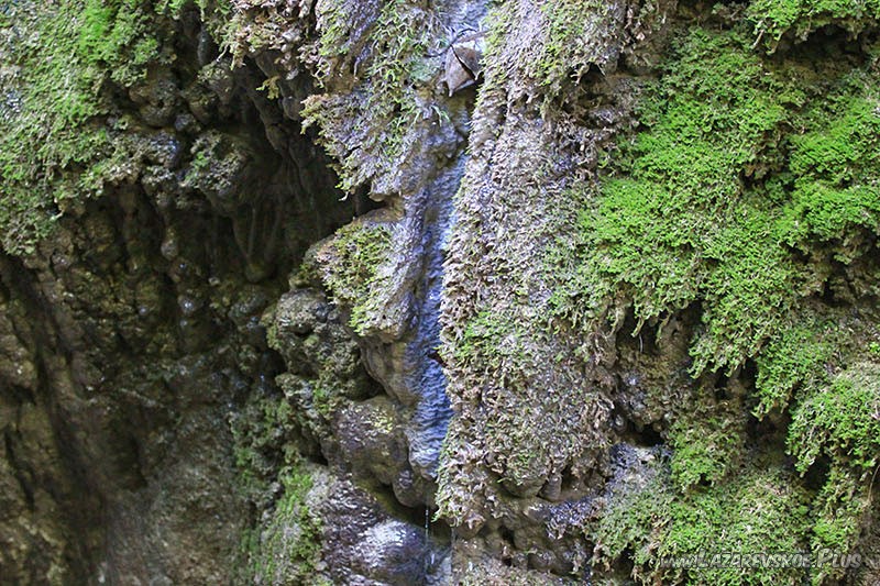 Со стен стекает вода.