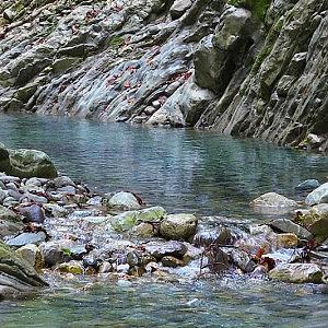 Ванна Мамеда