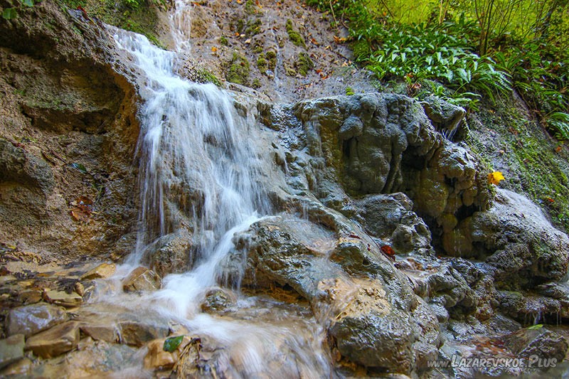 Чаша Богини любви