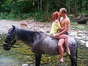 Двухчасовая конная прогулка 4