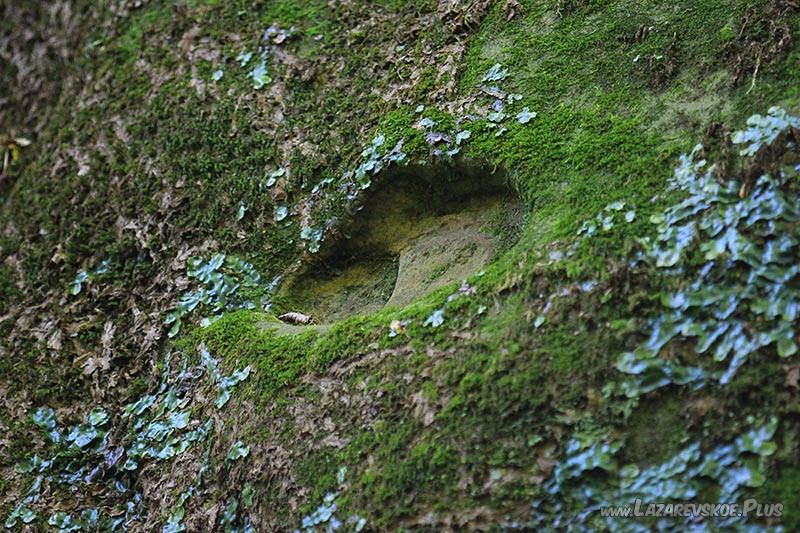 Один из следов на боковой стене скалы.