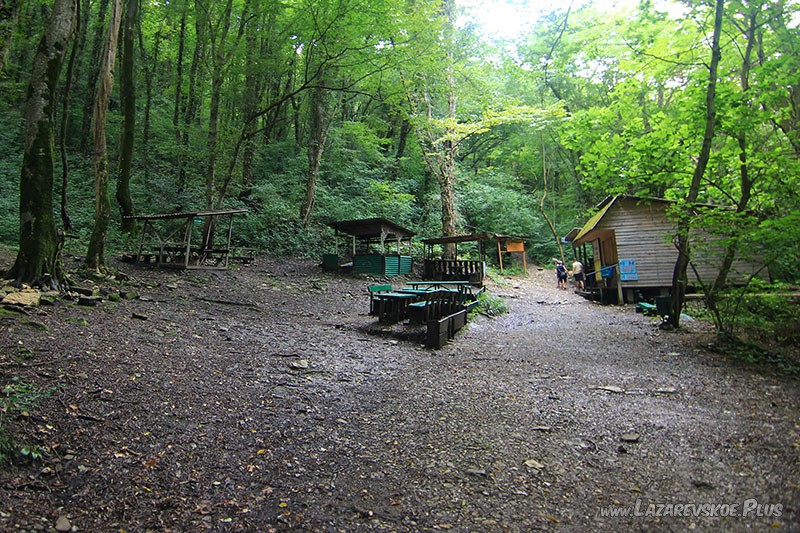 Поляна отдыха