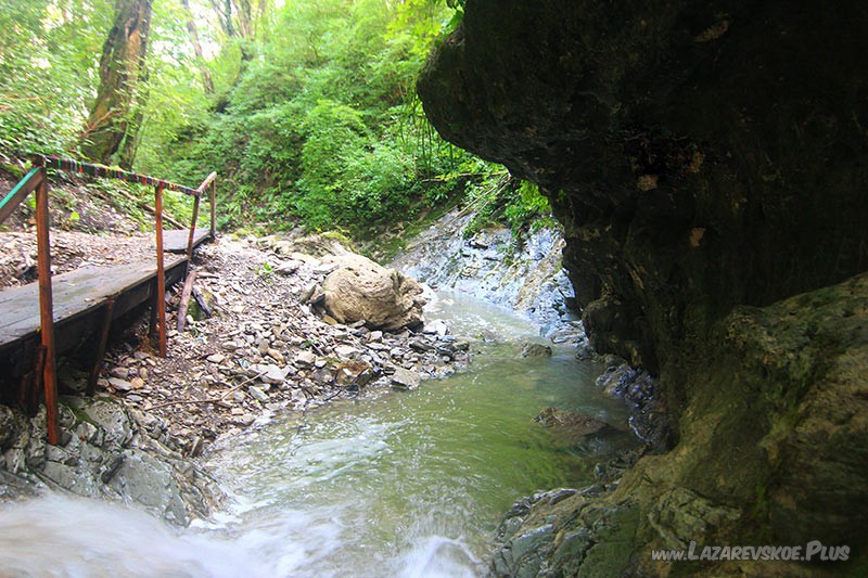 У купели Адама