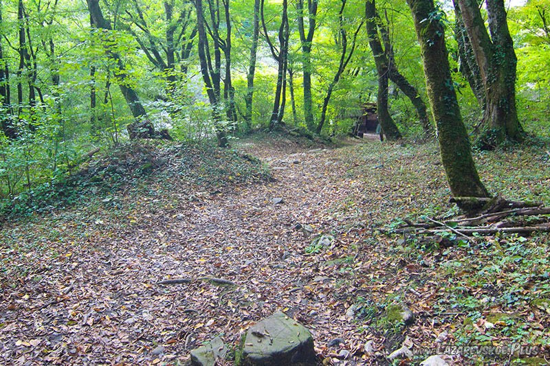 Поляна с курганами