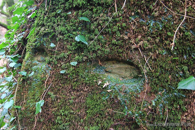 Два отпечатка.