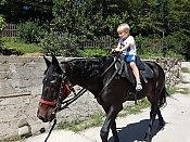 Часовая конная прогулка 11