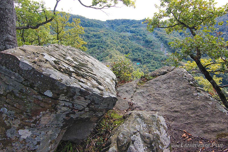 Вид с площадки.