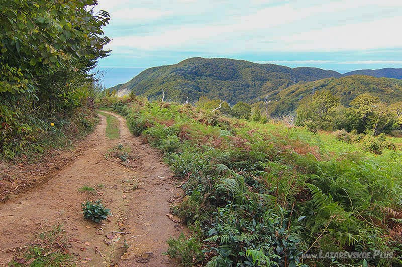 Вид на море.