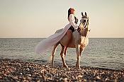Конная прогулка к морю 5
