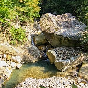 Чаша Афродиты