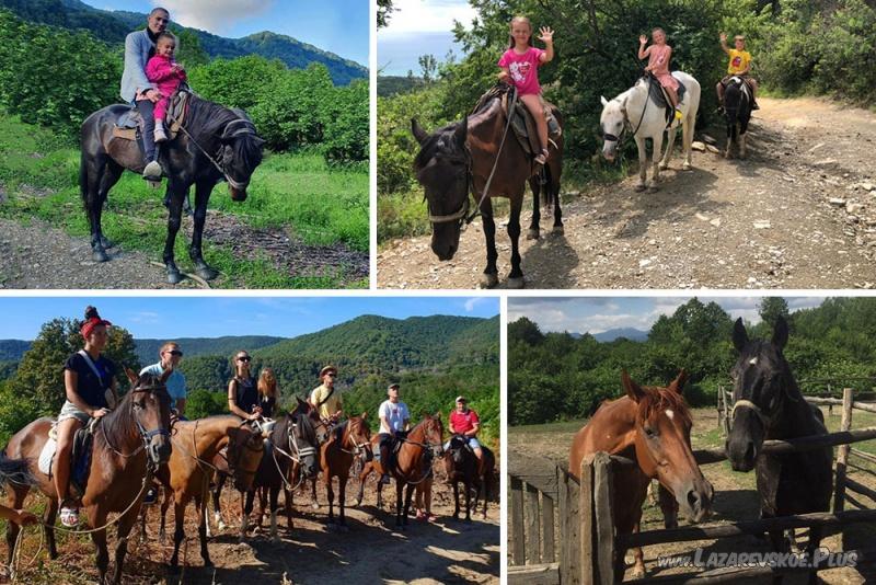 Полуторачасовая конная прогулка