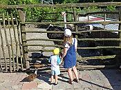 Экскурсия в "Мамедово ущелье" 13