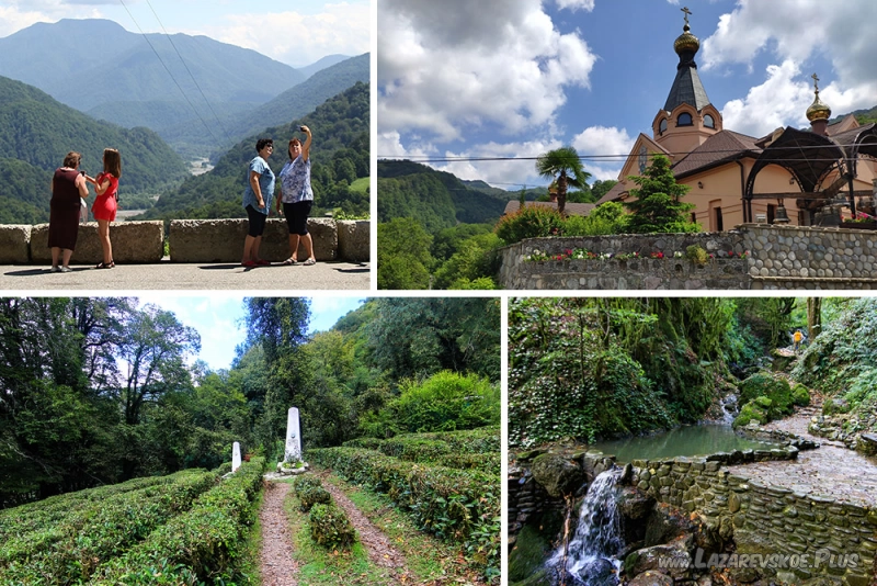 Индивидуальная экскурсия в Солохаул: Монастырь + Cвятой источник + Чайная плантация + Дом-музей чая