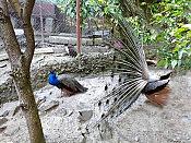 Экскурсия в "Мамедово ущелье" 14