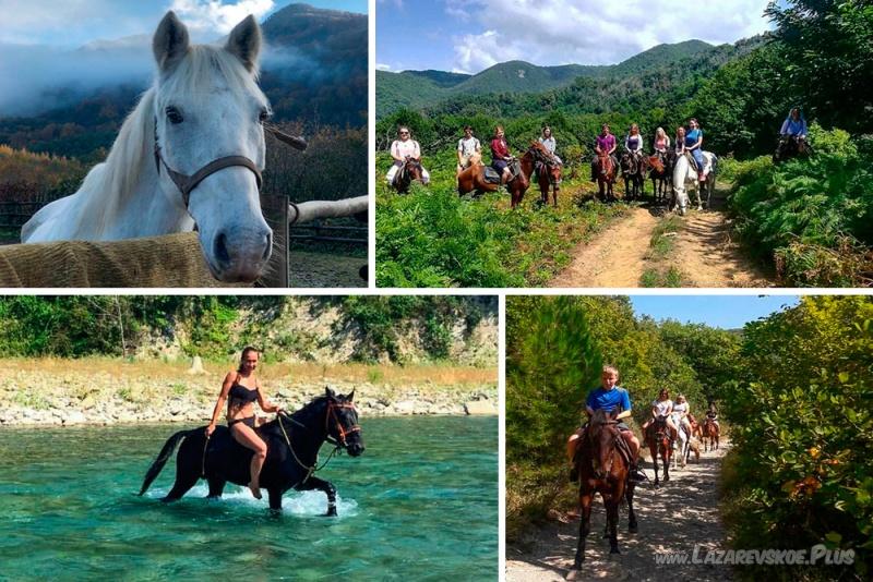 Трехчасовая конная прогулка