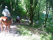 Часовая конная прогулка + Посещение фермы и общение с животными 8 Часовая конная прогулка + Посещение фермы и общение с животными 8