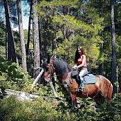 Часовая конная прогулка + Посещение фермы и общение с животными 5 Часовая конная прогулка + Посещение фермы и общение с животными 5