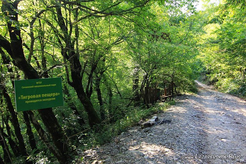 С дороги к пещере ведёт крутая тропа