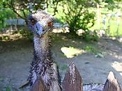 Экскурсия в "Мамедово ущелье" 15