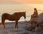 Конная прогулка к морю 4