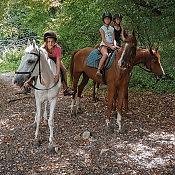 Часовая конная прогулка + Посещение фермы и общение с животными 6 Часовая конная прогулка + Посещение фермы и общение с животными 6