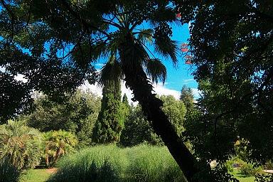 Лазаревское